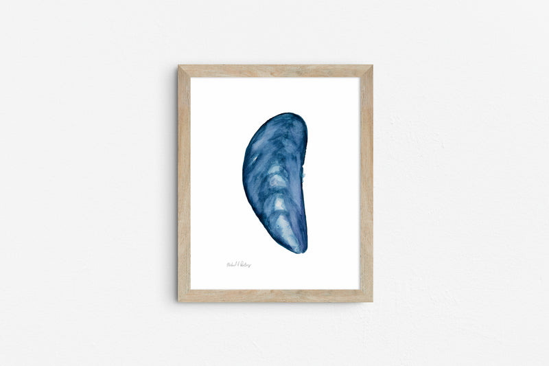 Mussel Shells Triptych, Watercolor