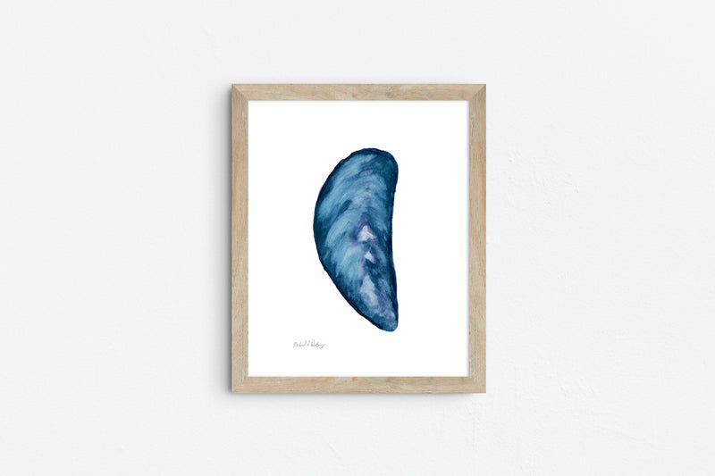 Mussel Shells Triptych, Watercolor