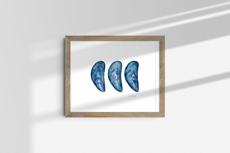 Mussel Shells, Watercolor