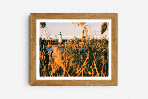 Simple Line, Simple Light — 8x10 painted photo print