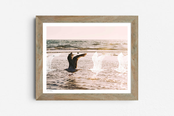 Form Of Flight — 8x10 painted photo print