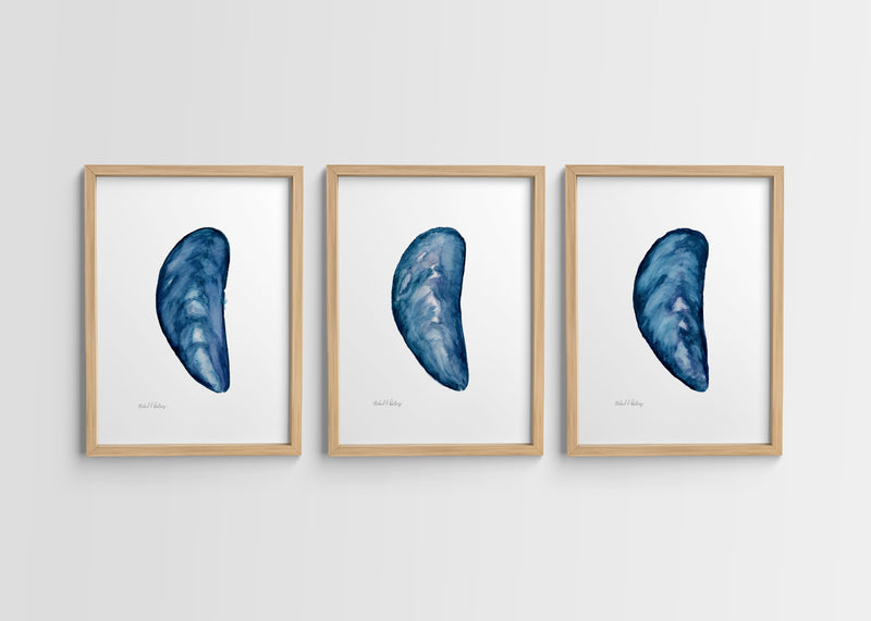 Mussel Shells Triptych, Watercolor